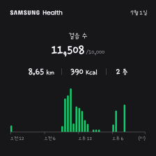 10000보 걷기 성공