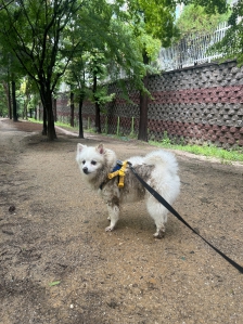 커뮤니티 게시글 썸네일