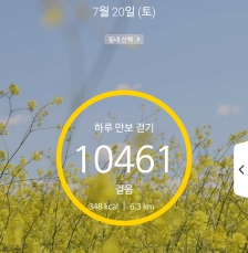 하루 2023보 걷기