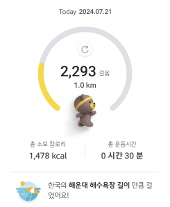 매일 걷기 챌린지 7월 21일