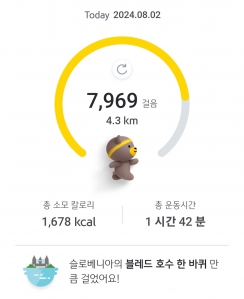 매일 걷기 챌린지 8월 2일