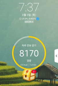 2023보 이상 걷기 ^^ (8000보)