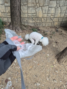 커뮤니티 게시글 썸네일