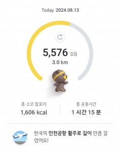 매일 걷기 챌린지 8월 13일