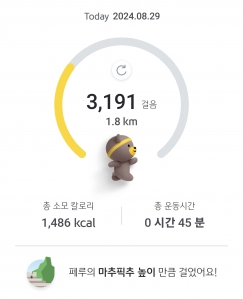 매일 걷기 챌린지 8월 29일