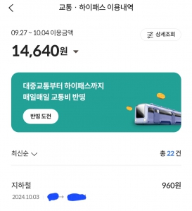 대중교통 이용내역 