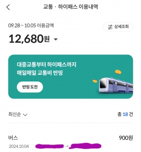 대중교통 이용내역 