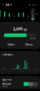 3000보 걷기