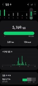 5000보 걷기