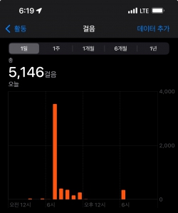 11월13일걷기