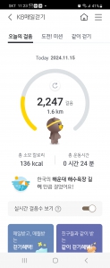 오늘도 2023보 걷기 올려요