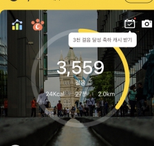 2023보 걷기