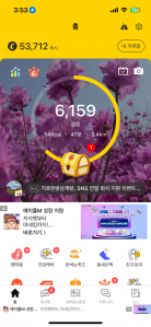 걷기 인증