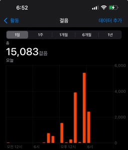 1월11일 걷기