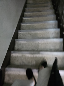 계단이용 