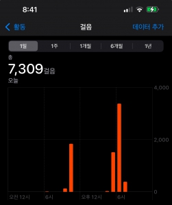 1월19일걷기