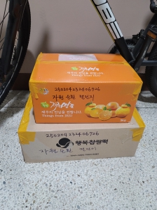 자원순환 챌린지