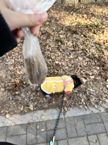 펫티켓