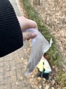 펫티켓