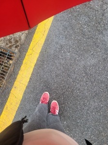걷기유훙