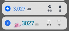 매일챌린지~