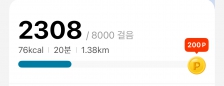 2023보 이상 걷기 성공