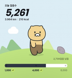 걷기 인증