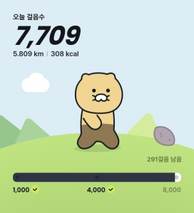 걷기 인증