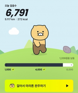 걷기 챌린지