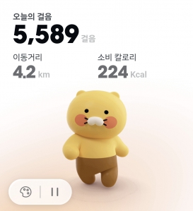 오전 걷기