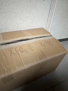 게시글 썸네일