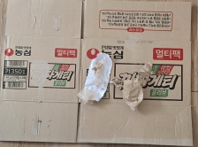 게시글 썸네일
