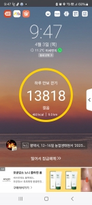 오늘 걷기 