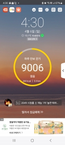 오늘 걷기 