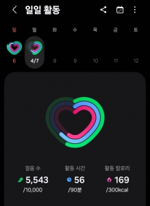 오늘 걷기