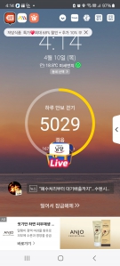 오늘 걷기 