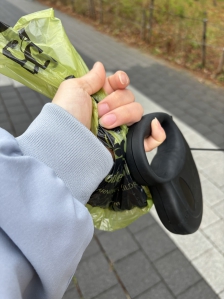 펫티켓