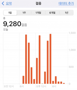 걷기 인증