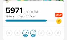 오늘의 걷기