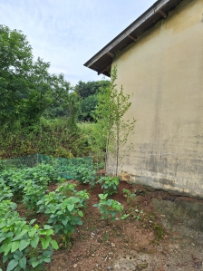 폭우 피해 복구현장 