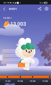 만 3천보 걷기 성공