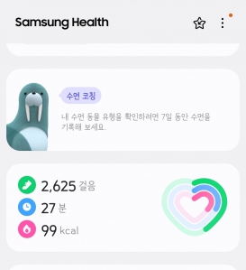 2023보 이상 걷기 인증