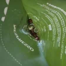 네스프레소 캡슐커피 재활용 인증해요!