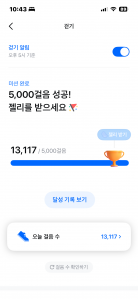 만보 걷기 성공