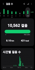 2026년 1월 5일 걷기