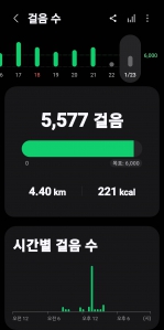 2026년 1월 23일 걷기
