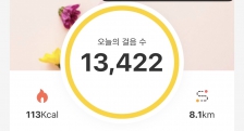 만보 이상 걷기