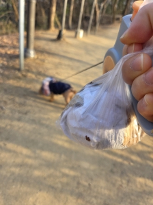 게시글 썸네일
