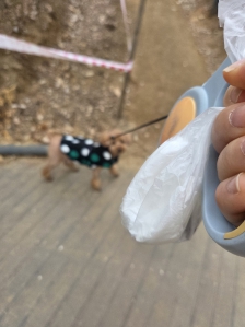 게시글 썸네일