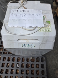 게시글 썸네일